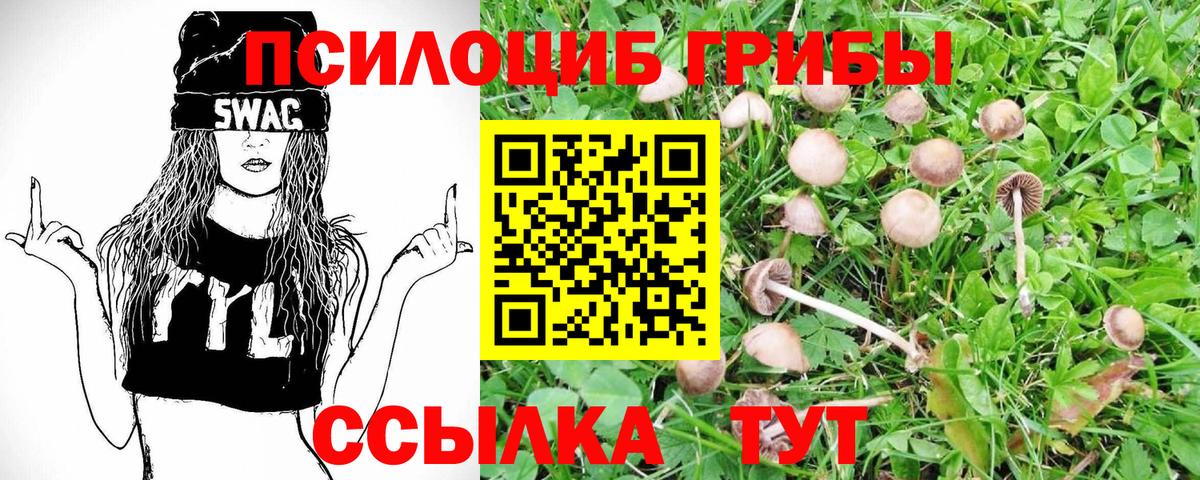 Псилоцибиновые грибы Magic Shrooms  Вход с VPN  Новочебоксарск 